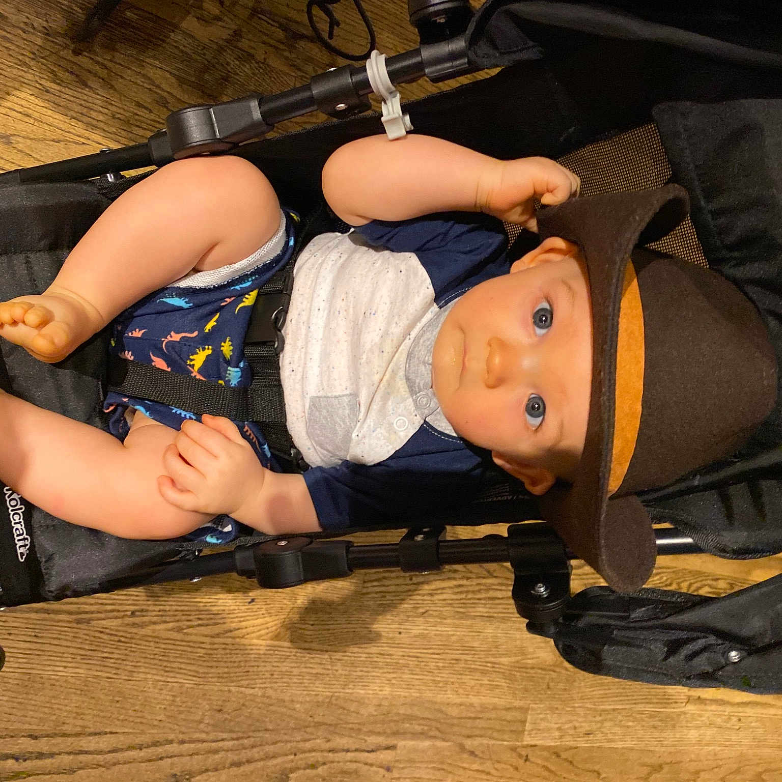 Wyatt joined the competition — help win amazing prizes! abdomen, audio_equipment, auto_part, automotive_tire, bag, bumper, chest, costume, elbow, entertainment, flooring, hat, human_leg, knee, luggage_and_bags, personal_protective_equipment, shorts, sportswear, thigh, wheel