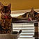 Delilah And Winter