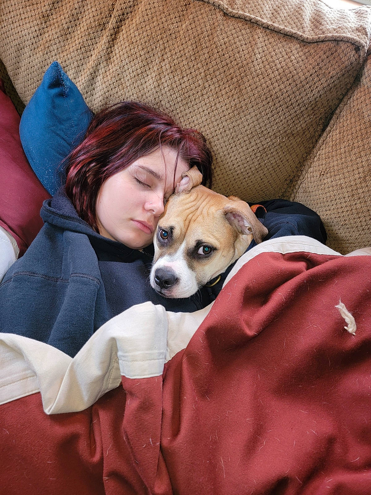 Trooper is registered to the contest to win money with this photo: canidae, carnivore, child, comfort, companion_dog, couch, dog, dog_breed, fawn, fur, happy, lap, linens, nap, puppy_love, sitting, sporting_group, sunglasses, textile, toy_dog