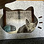 Zia participe au concours pour gagner de l'argent avec cette photo : animal, cat, cat_house, cozy, cute, domestic_cat, feline, felt, gray_cat, home, indoor, knitted_toy, living_room, peeking, pet, relaxed, resting, soft_light, toy, whiskers