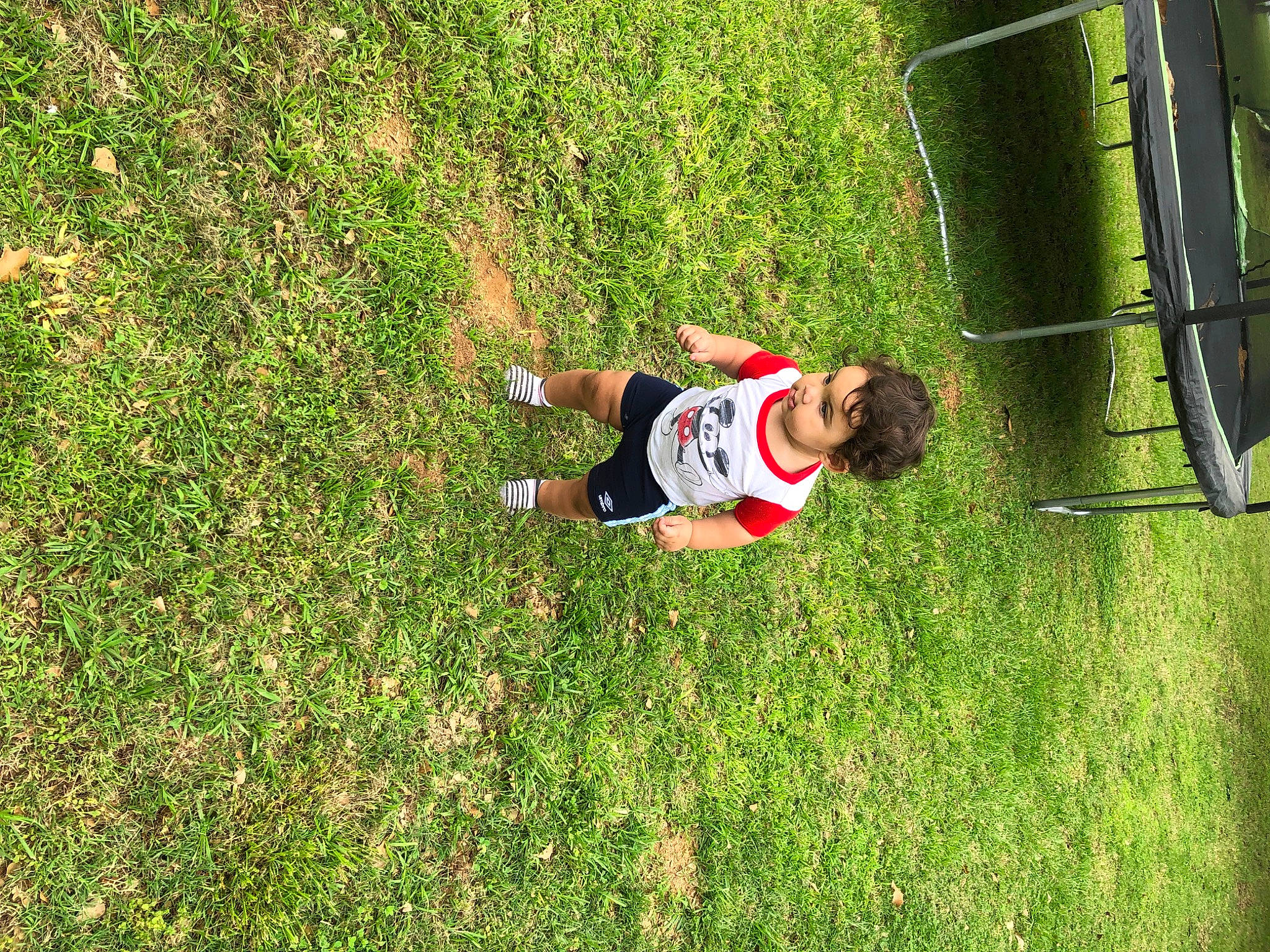 Korbyn joined the competition — help win amazing prizes! competition_event, football, football_player, fun, grass, grassland, groundcover, lawn, leisure, meadow, net, people_in_nature, person, plant, player, recreation, shrub, soccer, soccer_ball, sports_equipment