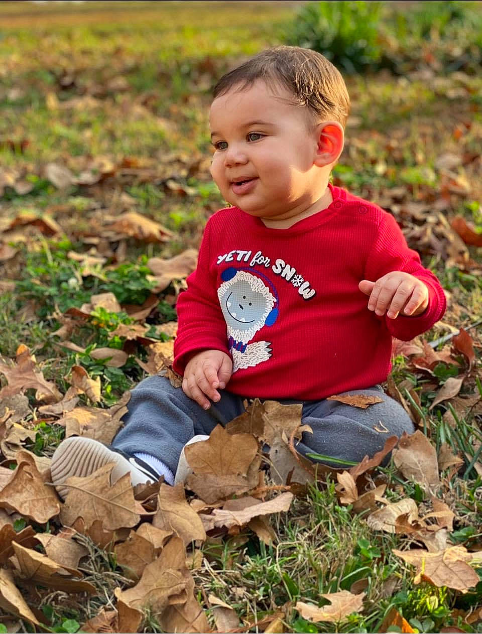 Korbyn is registered to the contest to win money with this photo: autumn, baby, baby_toddler_clothing, child, deciduous, eye, grass, groundcover, happy, leaf, people_in_nature, person, plant, portrait_photography, shoe, shorts, sitting, smile, soil, toddler