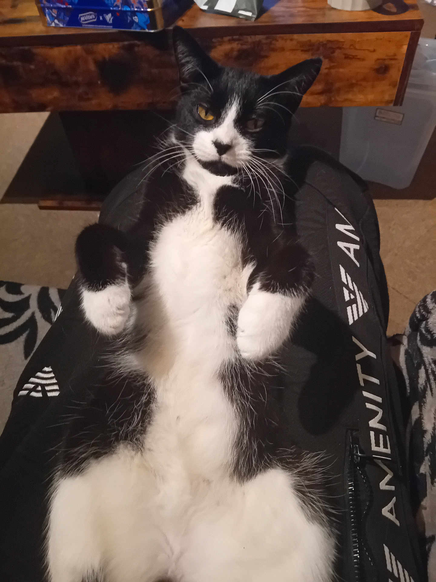 Tilly