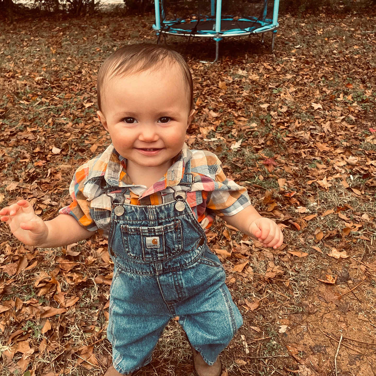 Darwin is registered to the contest to win money with this photo: baby, clothing, face, grass, head, jeans, nature, outdoorplayarea, outdoors, pants, park, person, photography, plant, playarea, portrait, shorts, soil, vegetation, yard