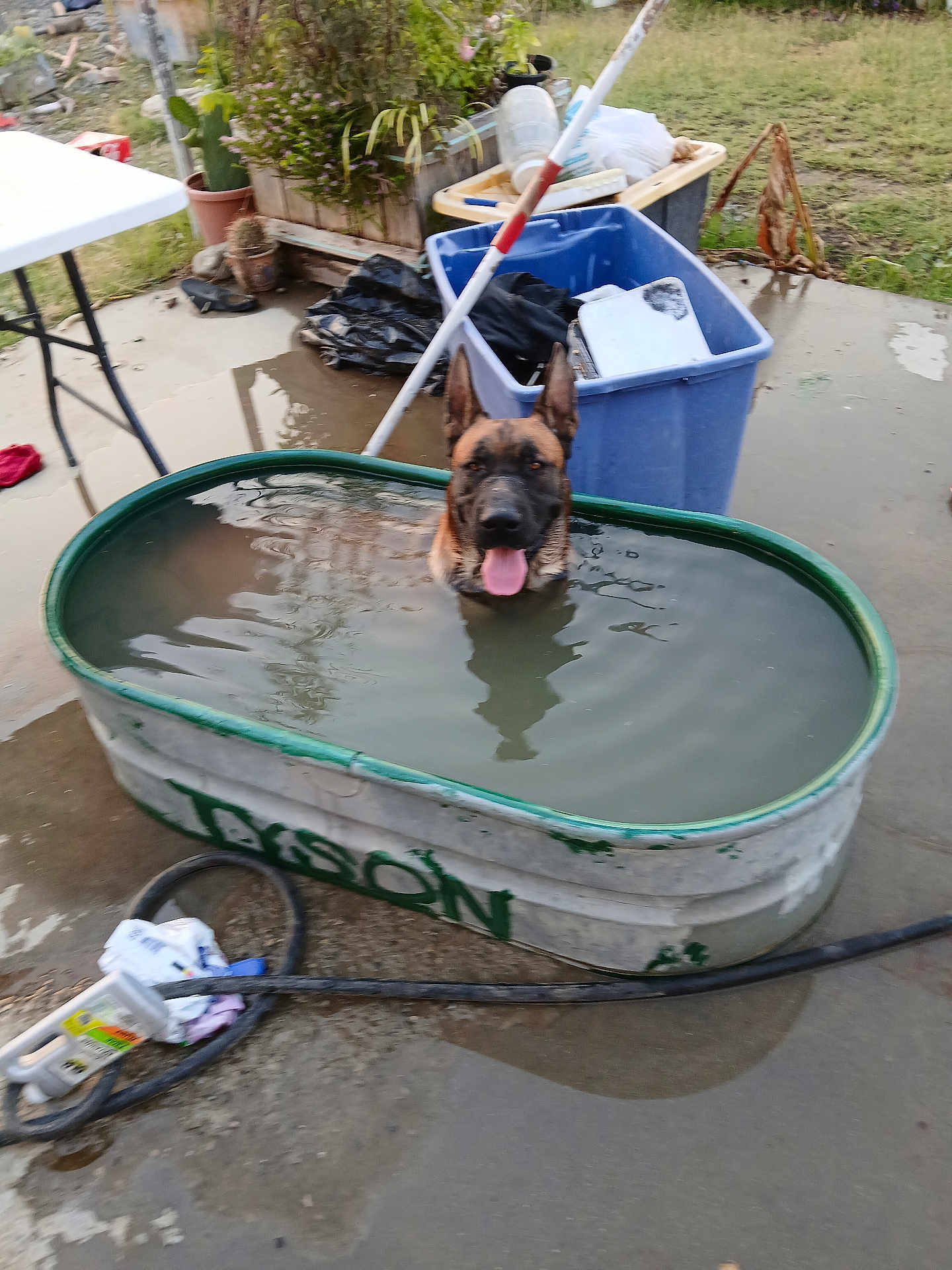 Tyson