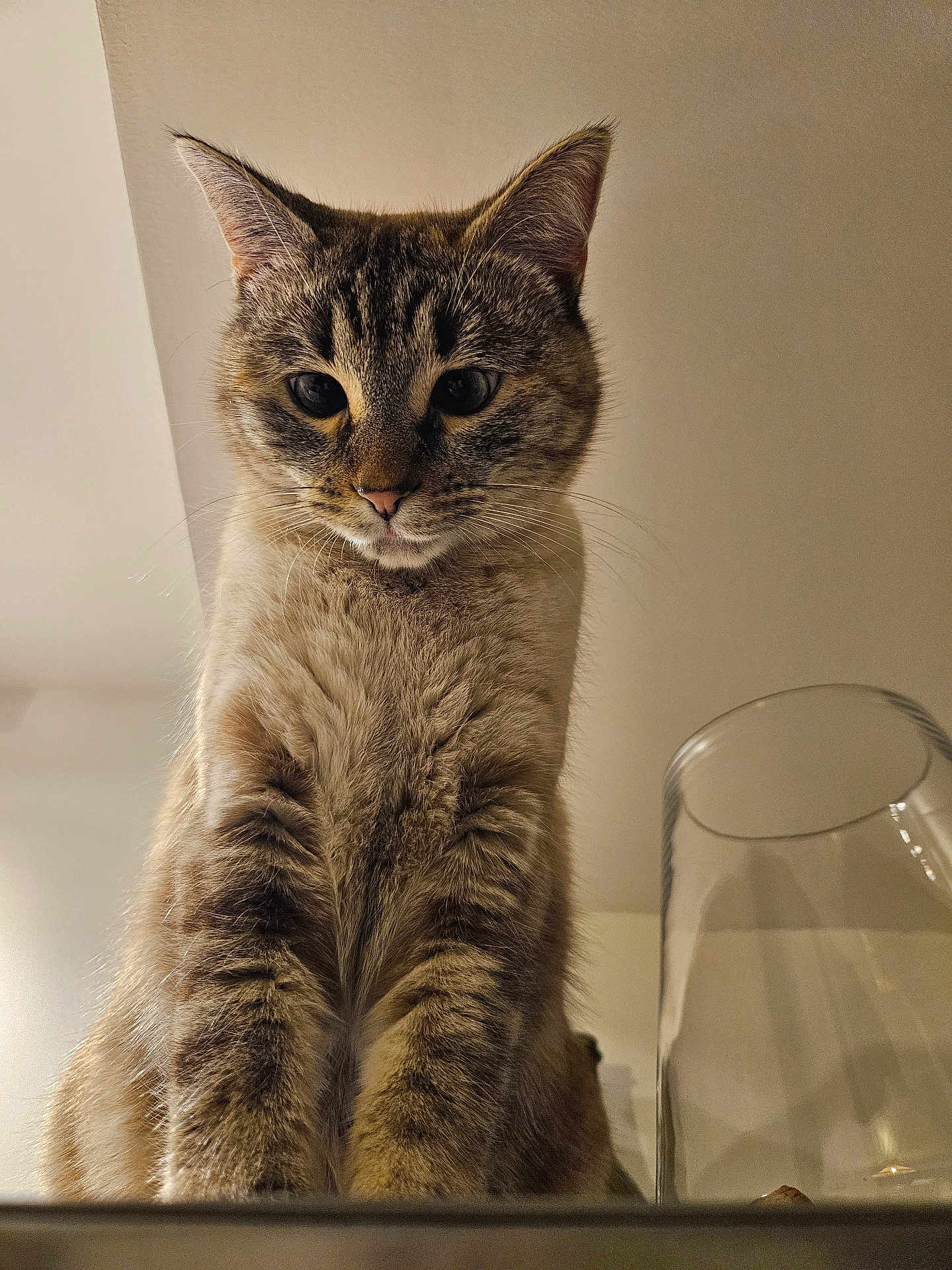 Pippa