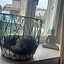 cat, sleeping, basket, windowsill, window, buddha_statue, decorations, holiday_stickers, gray_cat, indoor, resting, feline, peaceful, home_decor, soft_light, curled_up, quiet, animal, pet, daylight