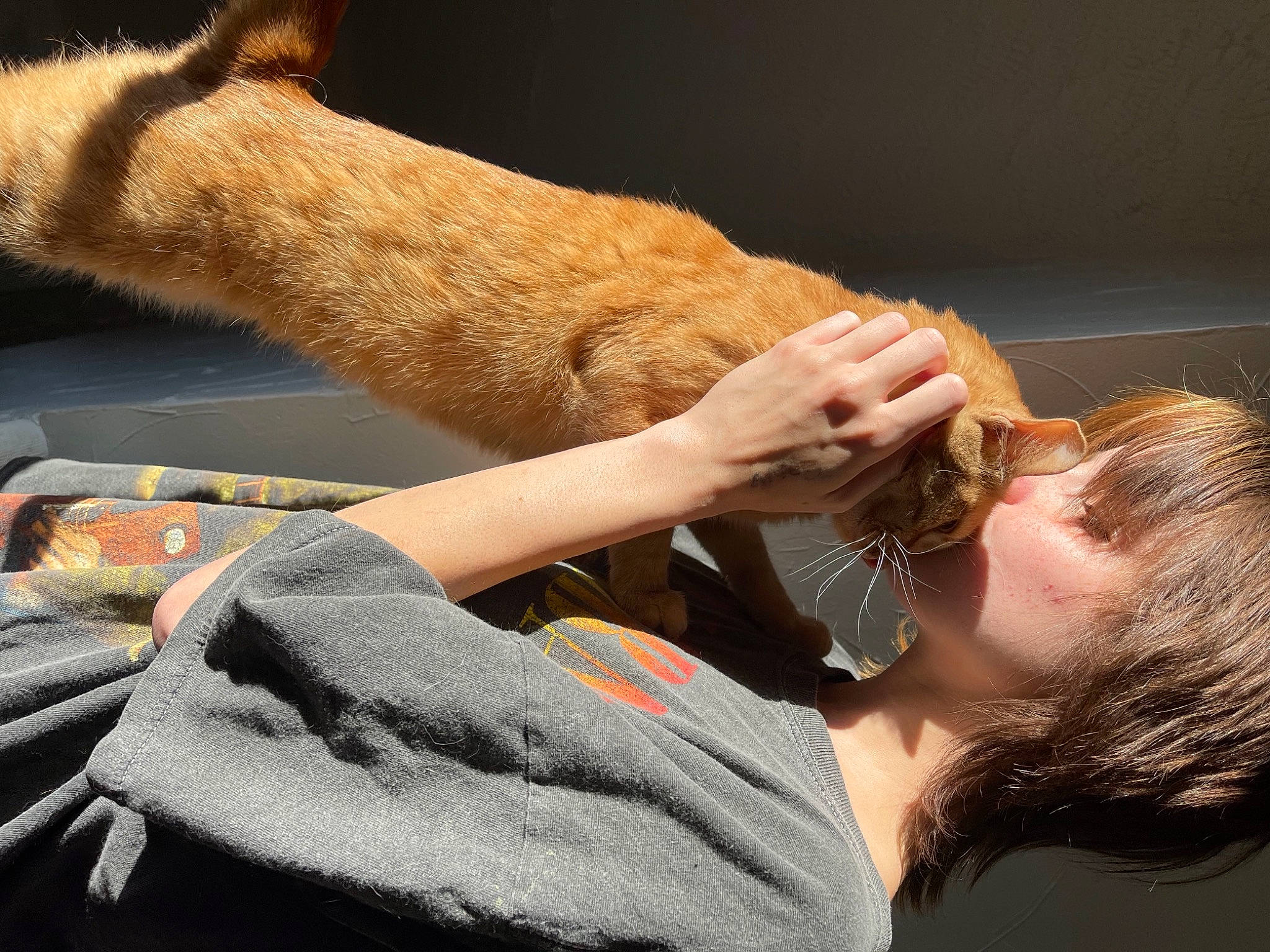 Peanut joined the competition — help win amazing prizes! carnivore, comfort, companion_dog, dog_breed, ear, elbow, felidae, finger, foot, fur, gesture, hand, human_body, human_leg, joint, nail, tail, textile, whiskers, wrist