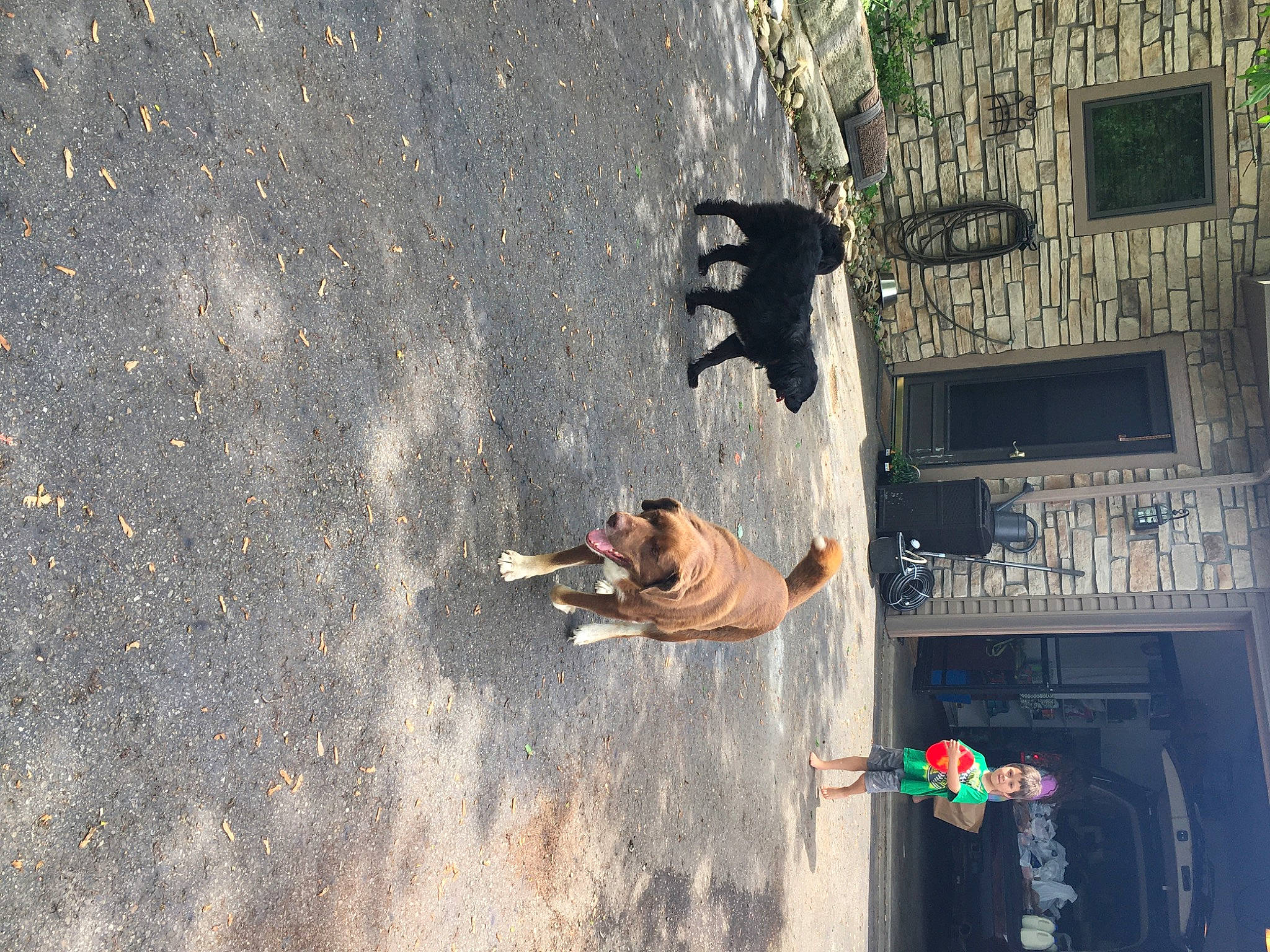 Lucy joined the competition — help win amazing prizes! concrete, wall