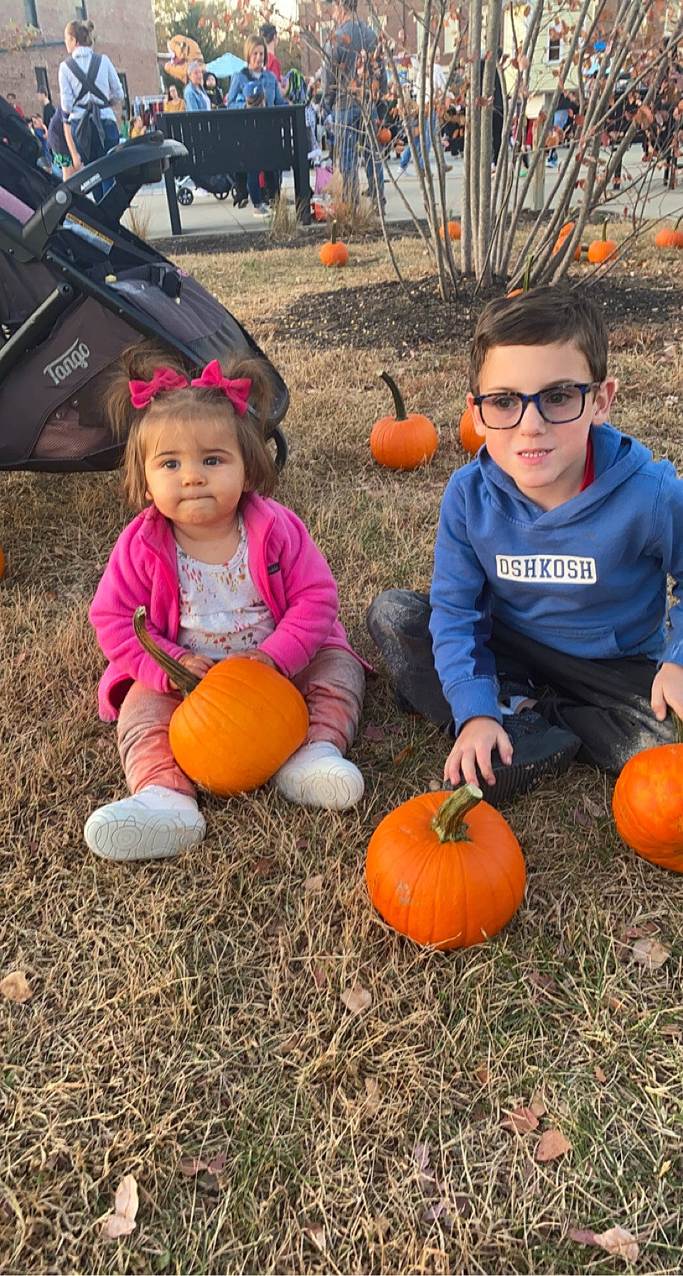 Remi joined the competition — help win amazing prizes! calabaza, child, cucurbita, eye, fun, gourd, grass, happy, leisure, local_food, natural_foods, orange, person, plant, pumpkin, squash, sunglasses, toddler, vegetable, whole_food