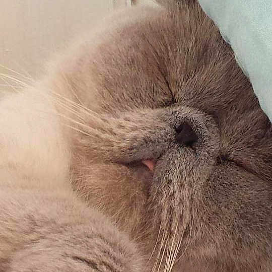 Gary
