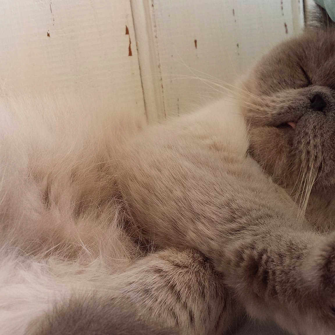 Gary
