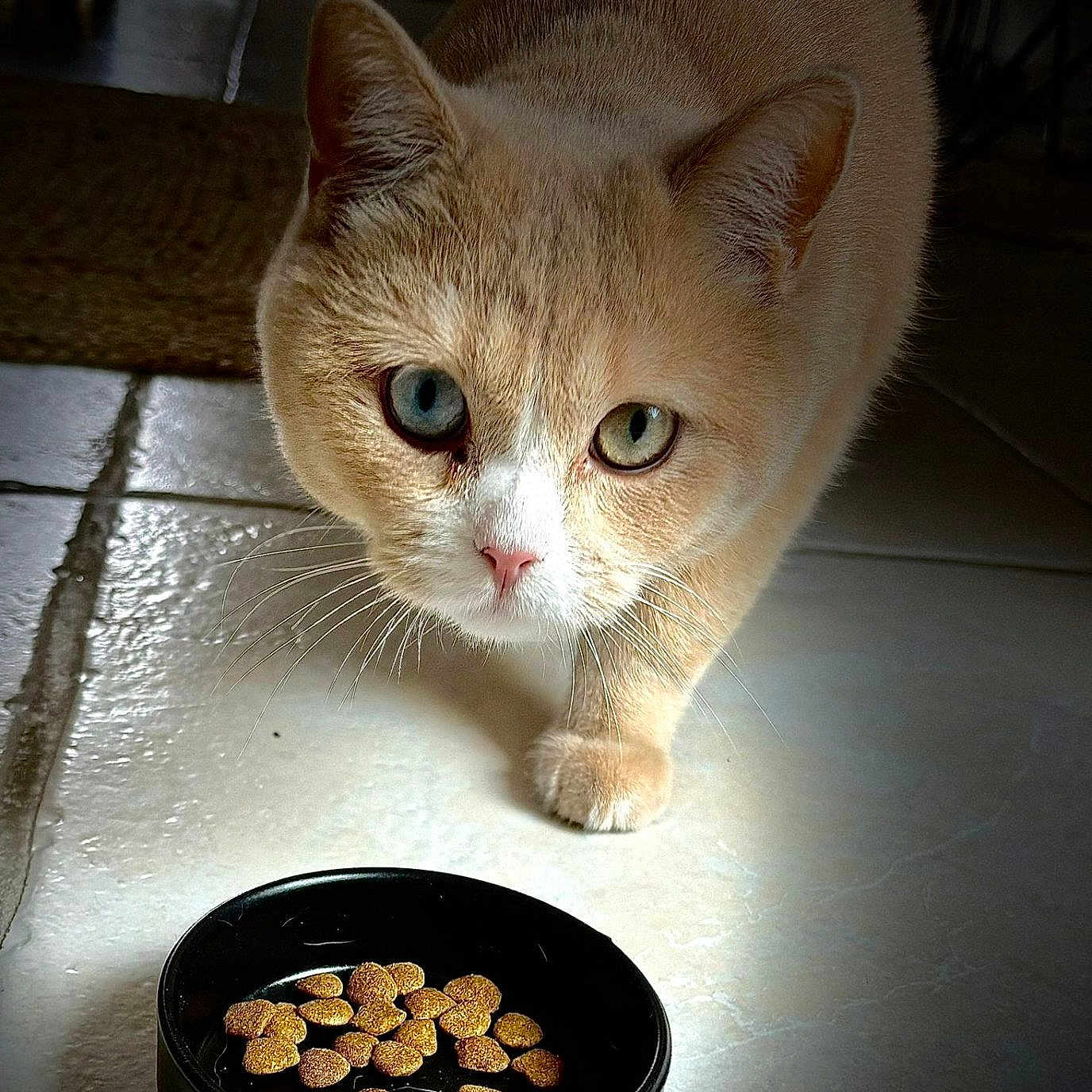 Sacha