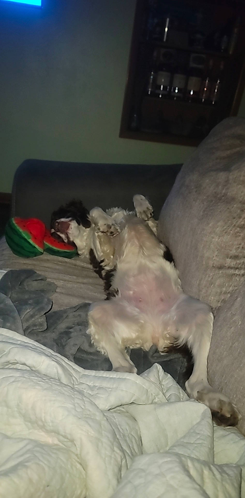 Mia is registered to the contest to win money with this photo: art, bed, bed_sheet, bedding, comfort, dress, fictional_character, flesh, fun, fur, linens, plaster, room, sculpture, statue, tourist_attraction, visual_arts, wood