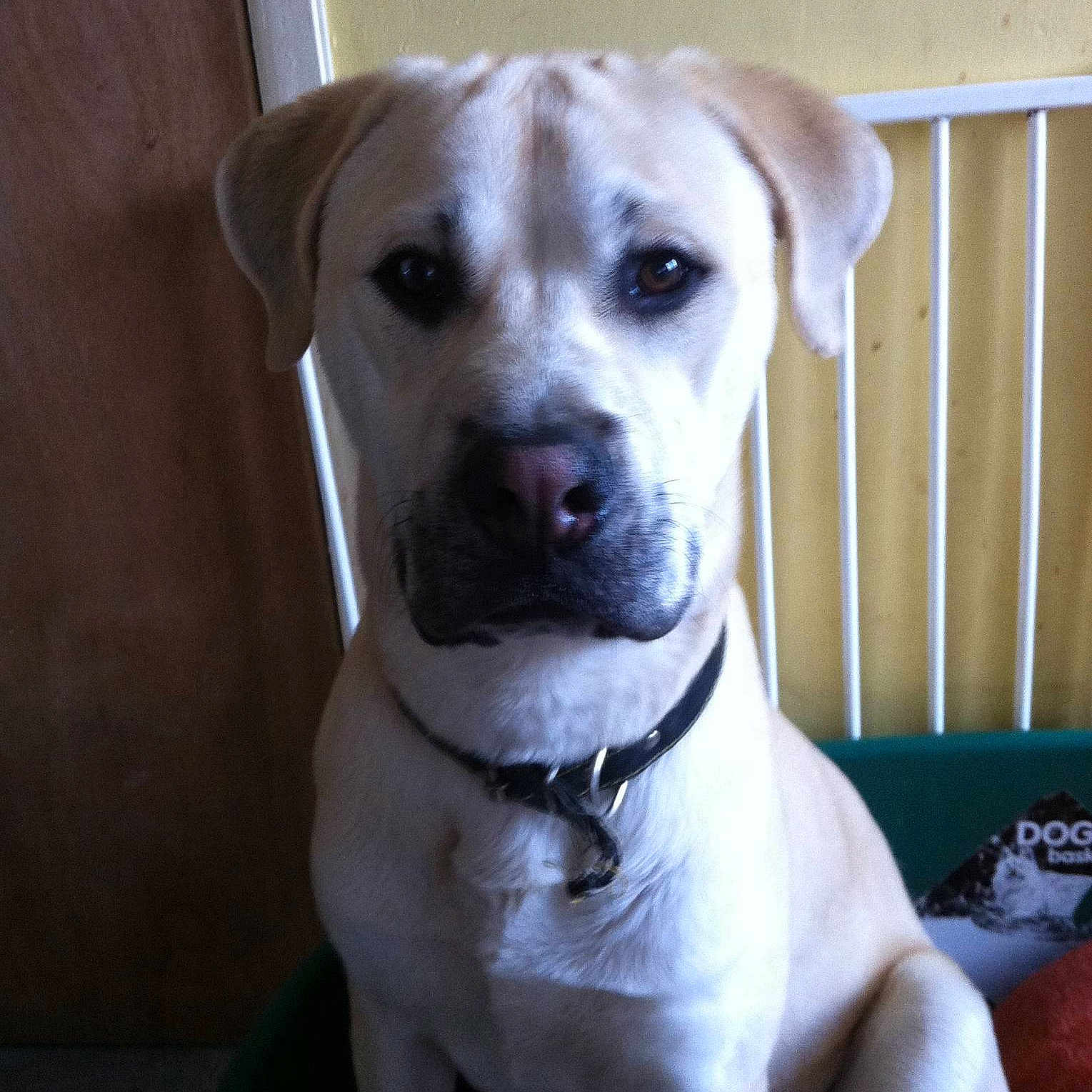 Zeus