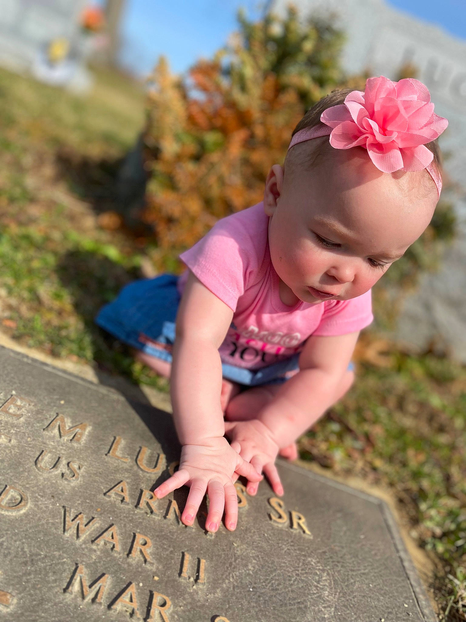 Arizona joined the competition — help win amazing prizes! baby, baby_toddler_clothing, child, clothing, eye, flower, fun, grass, happy, leaf, leisure, morning, nature, people_in_nature, person, petal, plant, road_surface, sky, toddler