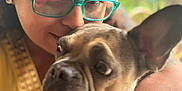 Lola Bean is registered to the contest to win money with this photo: person, dog, french_bulldog, glasses, hug, close_up, face, ear, pet, love, affection, outdoor, natural_light, skin, watch, yellow_clothing, short_hair, brown_dog, portrait, candid