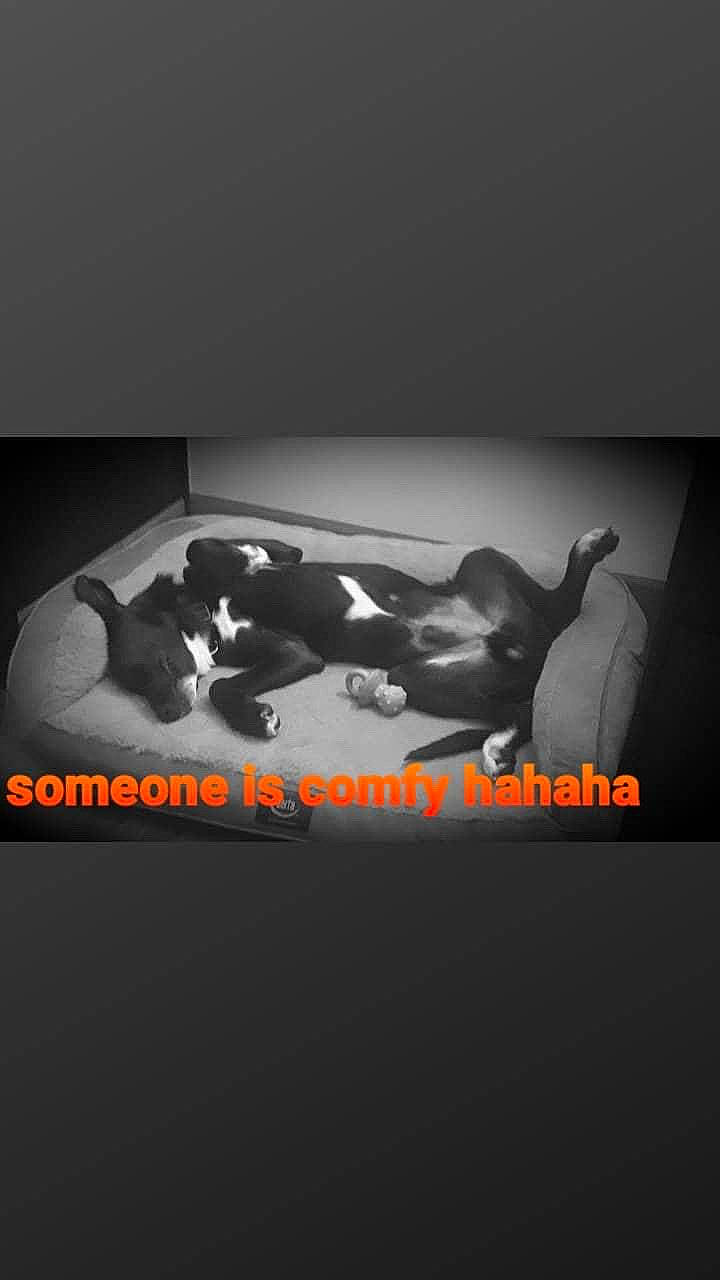 Bug joined the competition — help win amazing prizes! art, brand, comfort, darkness, flash_photography, font, gesture, graphic_design, graphics, human_leg, illustration, logo, monochrome, monochrome_photography, poster, rock, room, shadow, still_life_photography