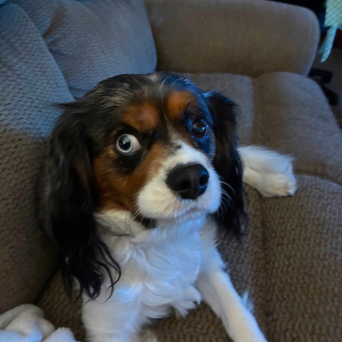 Charlie