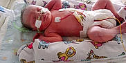 Joseph participe au concours pour gagner de l'argent avec cette photo : newborn, baby, incubator, hospital, medical_tubes, blanket, animal_print, sleeping, infant, diaper, monitoring_wires, healthcare, cute, peaceful, patient, nursery, tiny, fragile, child, resting