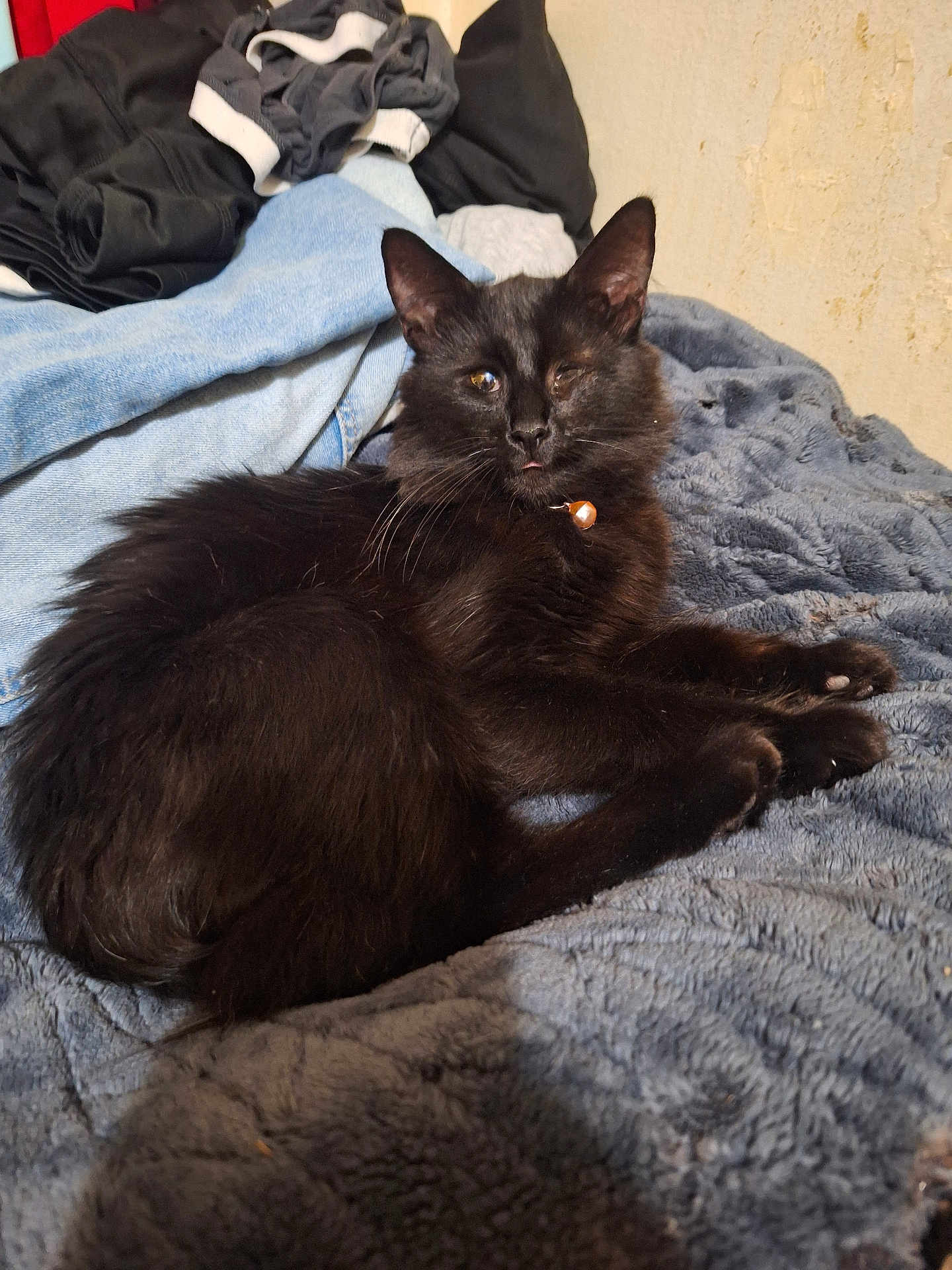 Missy