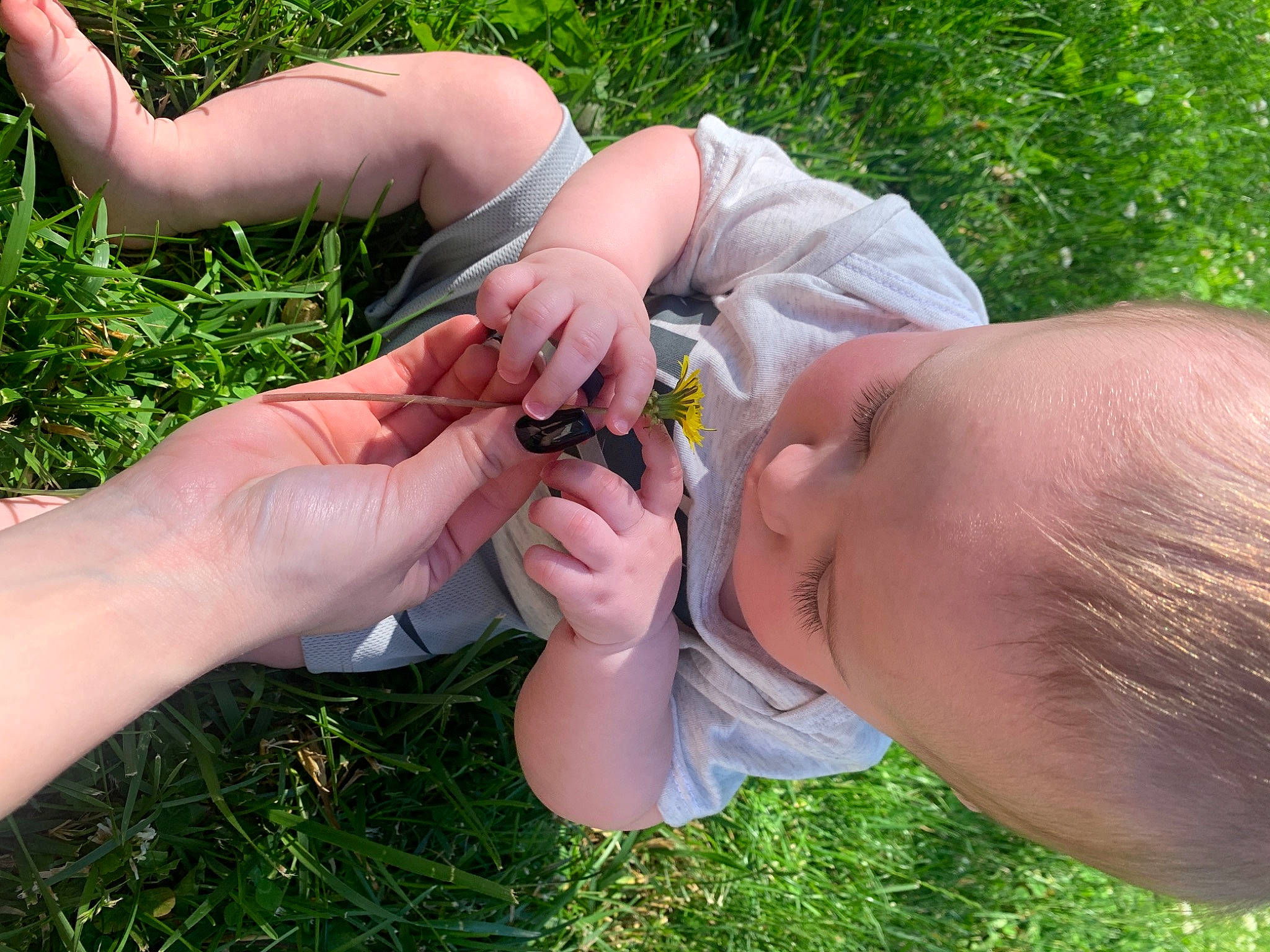 Jay joined the competition — help win amazing prizes! amphibian, child, eyewear, finger, gesture, grass, hand, human_leg, insect, nail, people_in_nature, person, plant, reptile, scaled_reptile, soil, terrestrial_animal, thumb, toddler, wood