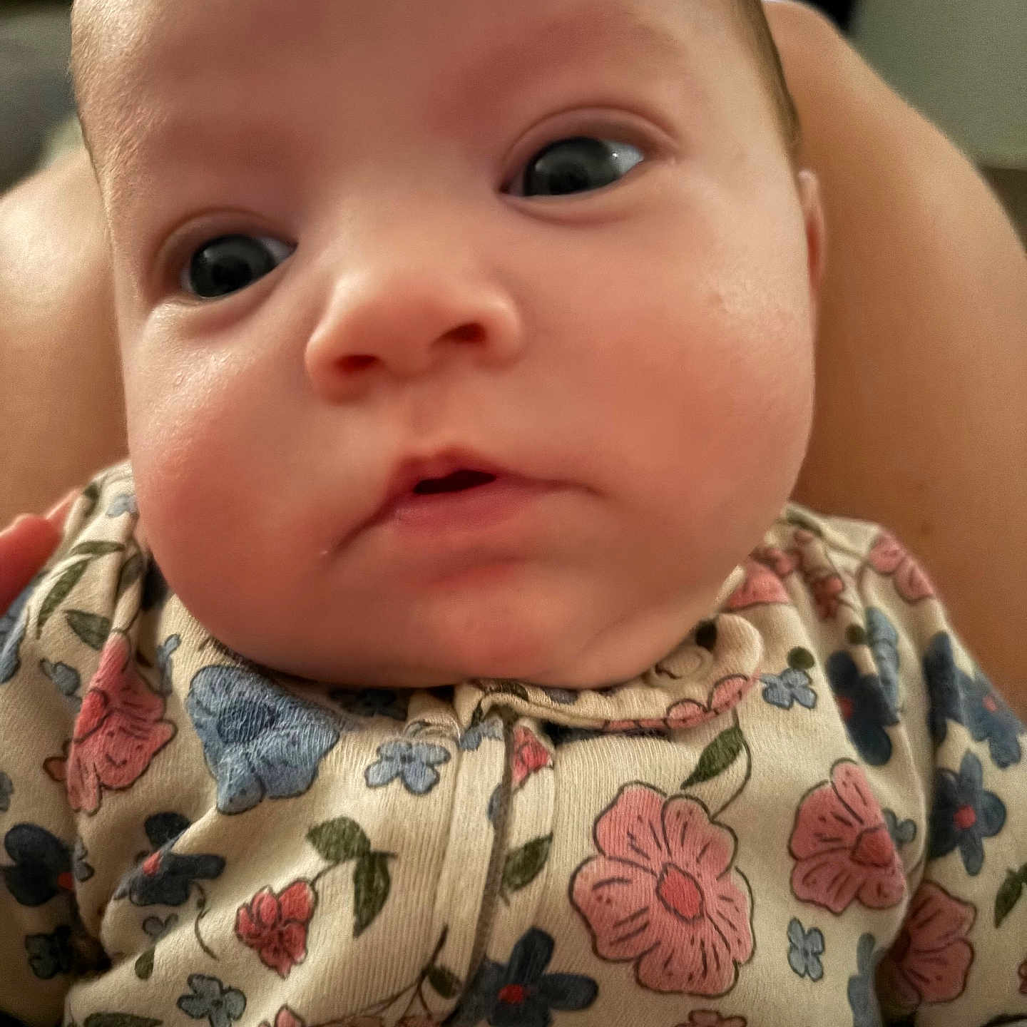 Addilyn is registered to the contest to win money with this photo: baby, infant, child, face, portrait, close_up, wide_eyes, looking_at_camera, floral_clothing, onesie, patterned_clothing, flowers, butterflies, baby_clothing, indoor, adult_hand, held, head, cute, photography