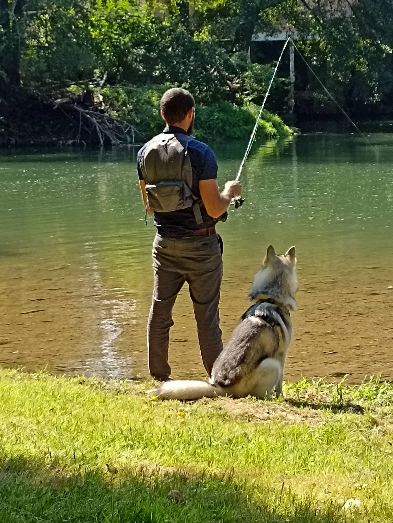 Rider a rejoint le concours — aidez-le/la à gagner de superbes lots ! angling, canidae, carnivore, casting_fishing, dog, dog_breed, fish, fisherman, fishing, fishing_rod, grass, lake, leash, leisure, plant, recreation, recreational_fishing, sporting_group, tree, water