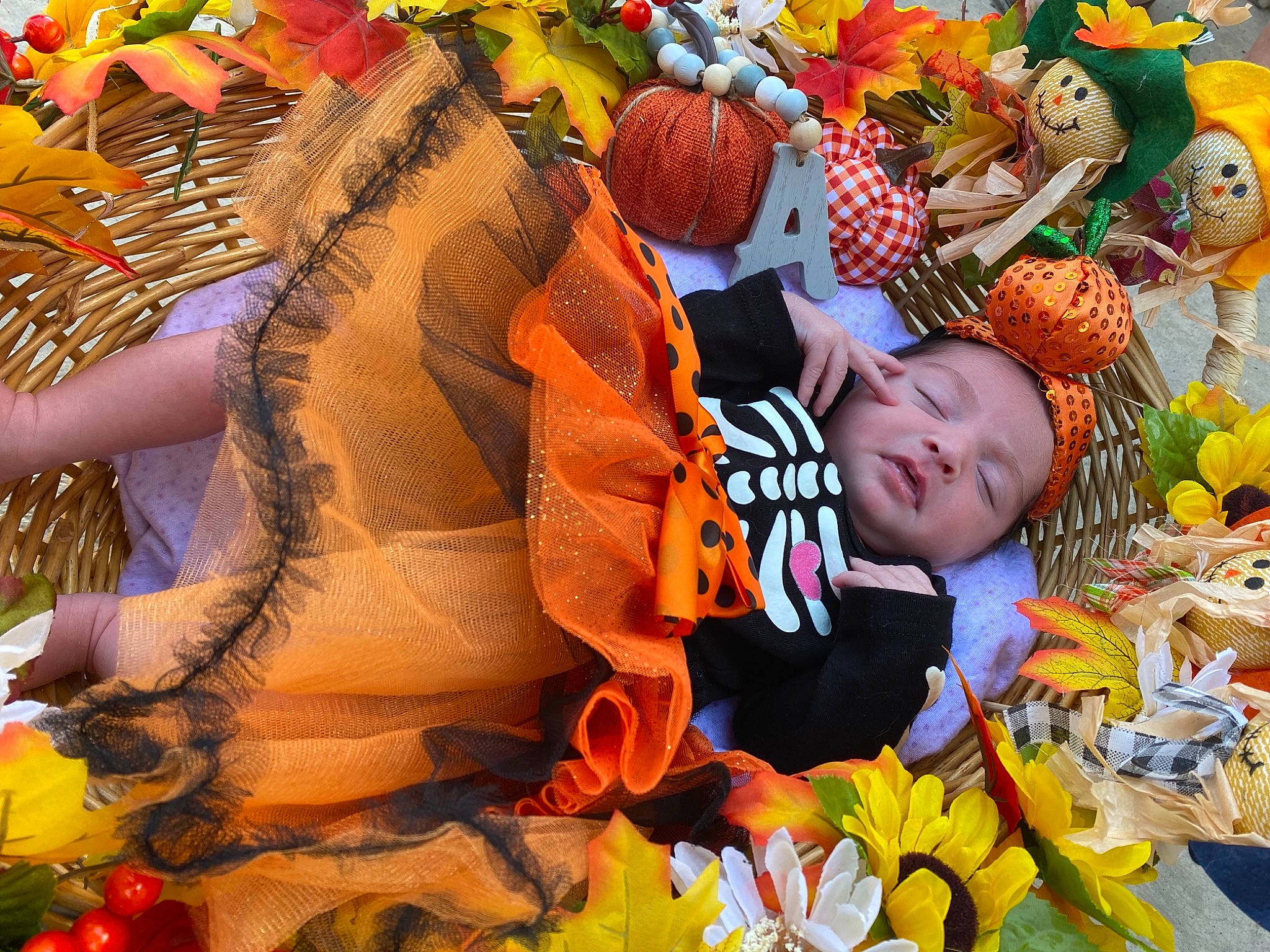 Aviana joined the competition — help win amazing prizes! adaptation, art, baby, child, event, facial_expression, fun, grass, happy, headgear, headwear, human, human_body, leisure, orange, organism, pattern, people_in_nature, person, textile