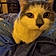 Peanut