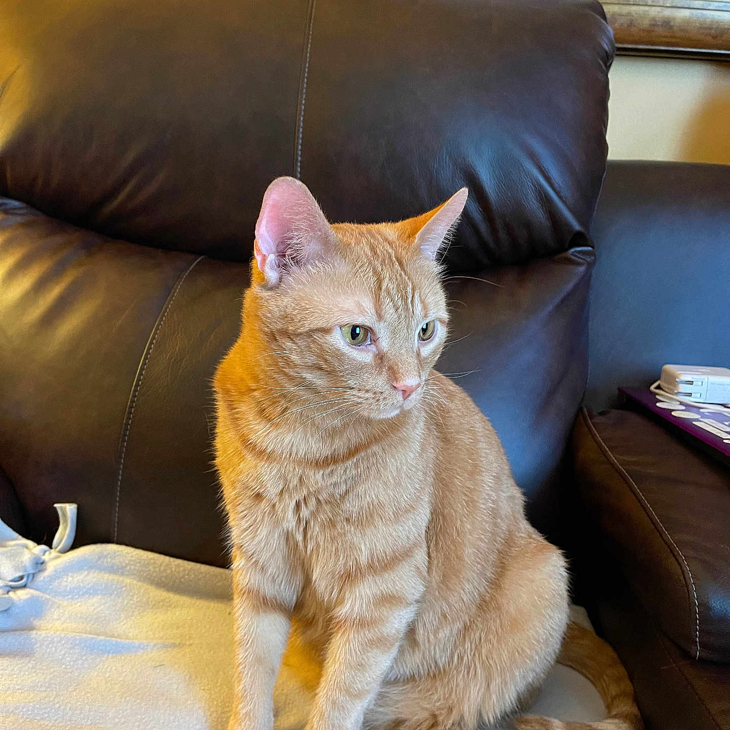 Charlie