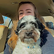 Brody joined the competition — help win amazing prizes! black_and_white, car_interior, casual, close_up, collar, curly_fur, dog, face, hair, happy, human, indoor, person, pet, portrait, seat, seat_belt, smiling, sunlight, window