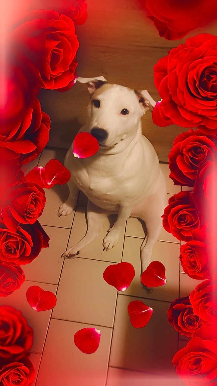 Nina