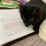 Alfie participe au concours pour gagner de l'argent avec cette photo : cat, black_cat, notebook, handwriting, math_notes, pen_case, study_materials, pencil_case, desk, cozy, indoor, pet, feline, curious, writing, paper, lines, colorful, orange_eyes, closeup