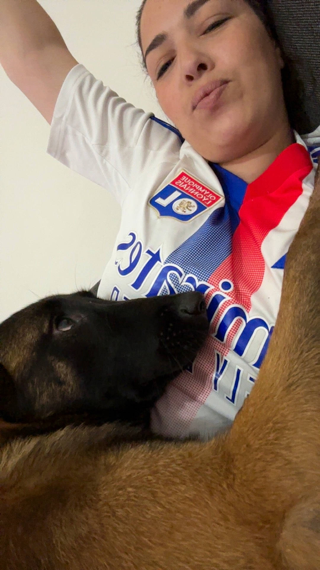 accessories, animal, baby, canine, clothing, dog, face, formalwear, head, hound, labradorretriever, person, pet, photography, portrait, puppy, shirt, sleeping, t_shirt, tie