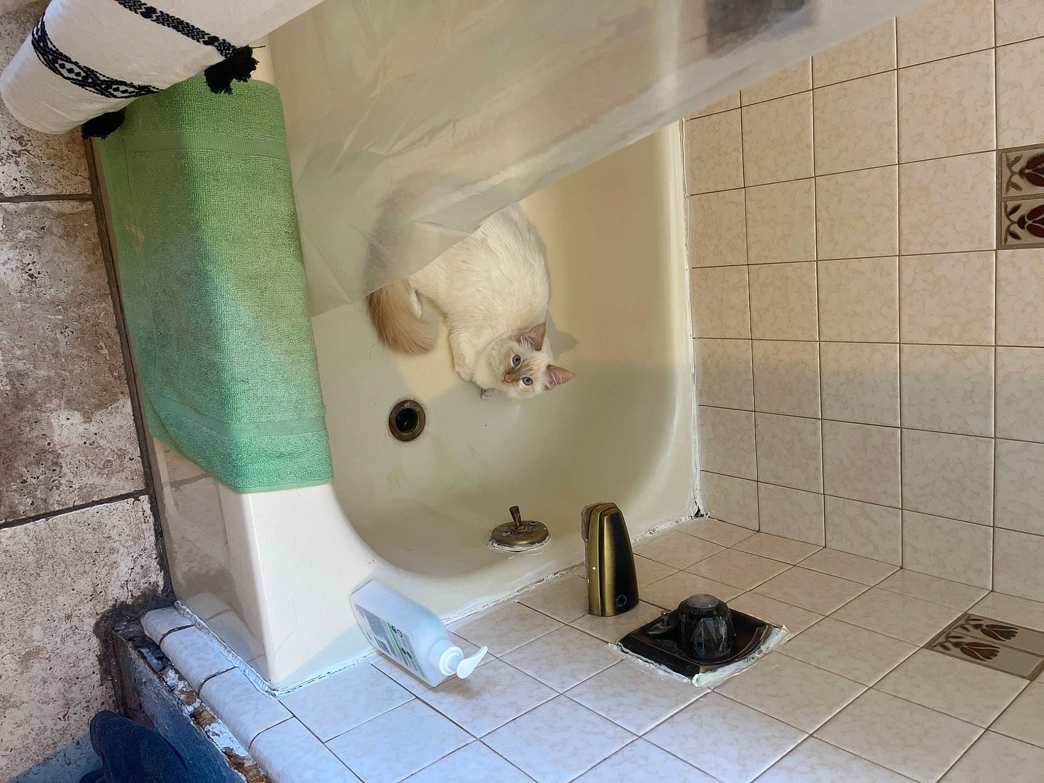 Chai is registered to the contest to win money with this photo: bathroom, bathroom_accessory, bathtub, ceiling, ceramic, composite_material, floor, flooring, gas, household_supply, plaster, plumbing, plumbing_fitting, plumbing_fixture, room, tile, tile_flooring, toilet, wood