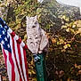cat, gray_tabby, flag, american_flag, green_post, outdoor, foliage, shrubbery, nature, animal, pet, sitting, calm, majestic, daylight, leafy, wildlife, quiet, still, background