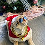 Nugget joined the competition — help win amazing prizes! animal, blanket, cat, christmas_tree, costume, cute, decorations, feline, festive, floor, gold_chain, holiday, holiday_season, indoor, ornaments, pet, relaxed, santa_hat, sunglasses, wooden_floor