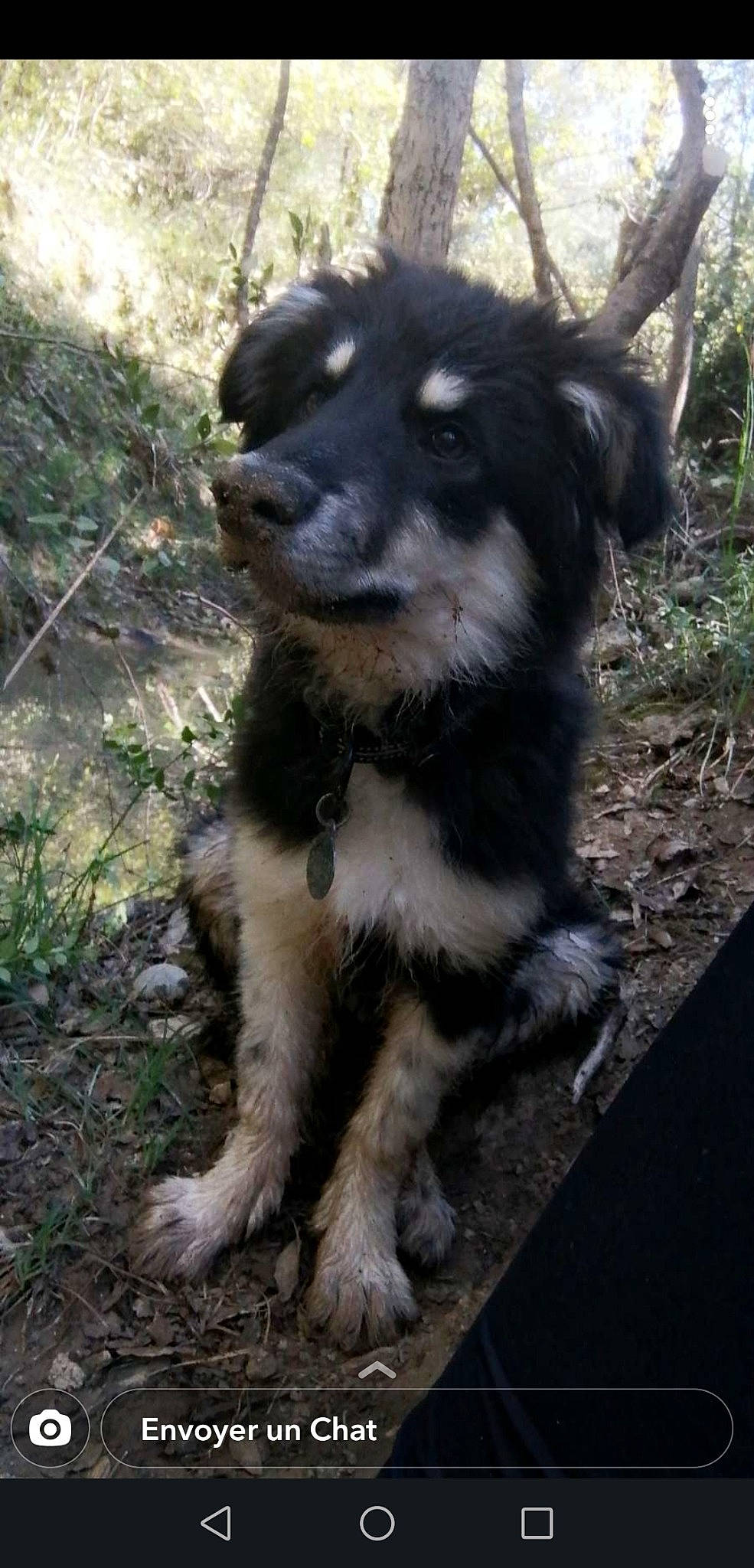 Floki