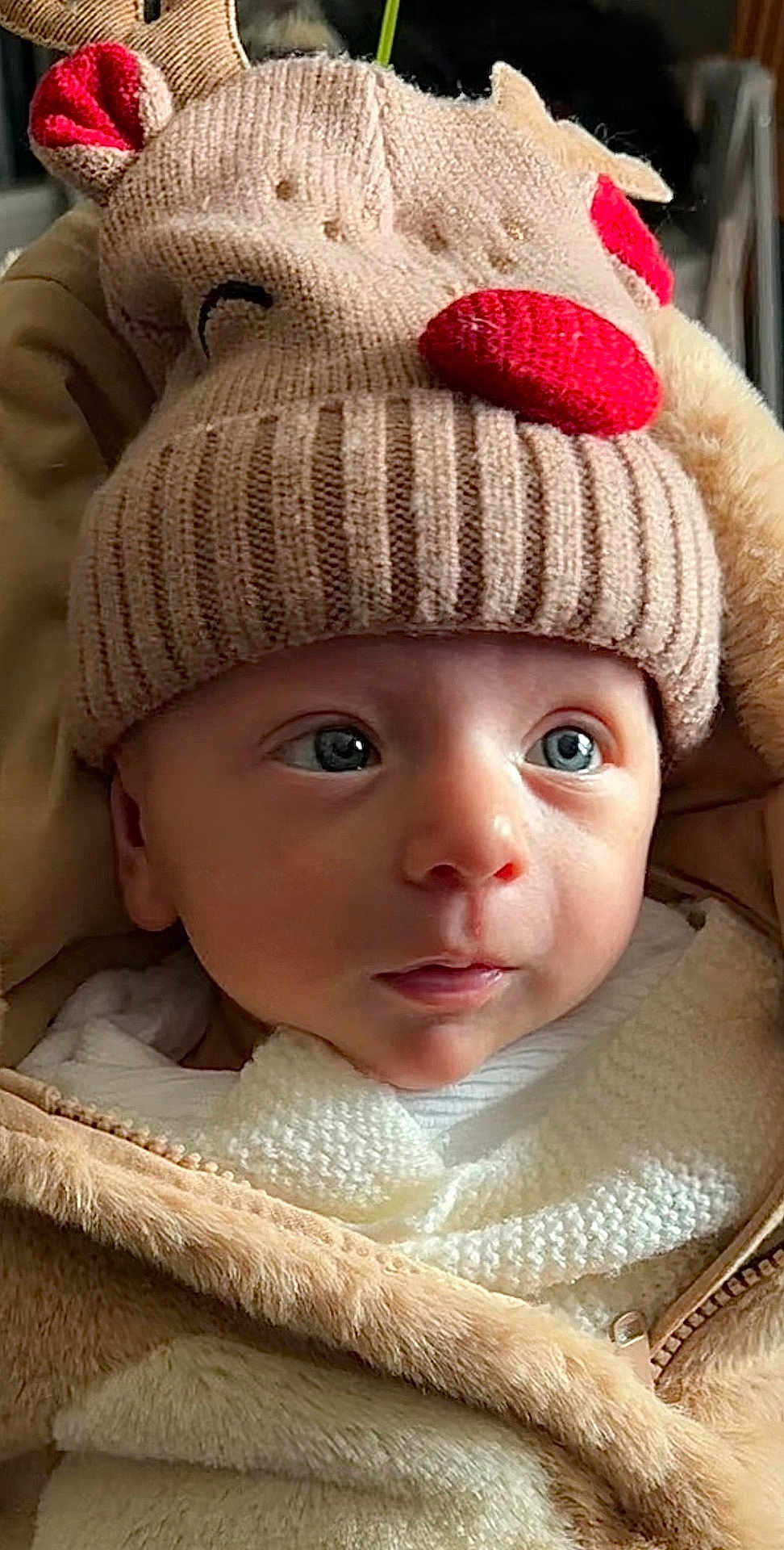 Simon a rejoint le concours — aidez-le/la à gagner de superbes lots ! baby, child, face, hat, knit_hat, blue_eyes, cozy, warm_clothing, beige, cute, infant, portrait, closeup, winter_wear, expression, soft_texture, bundle, eyes, headwear, person