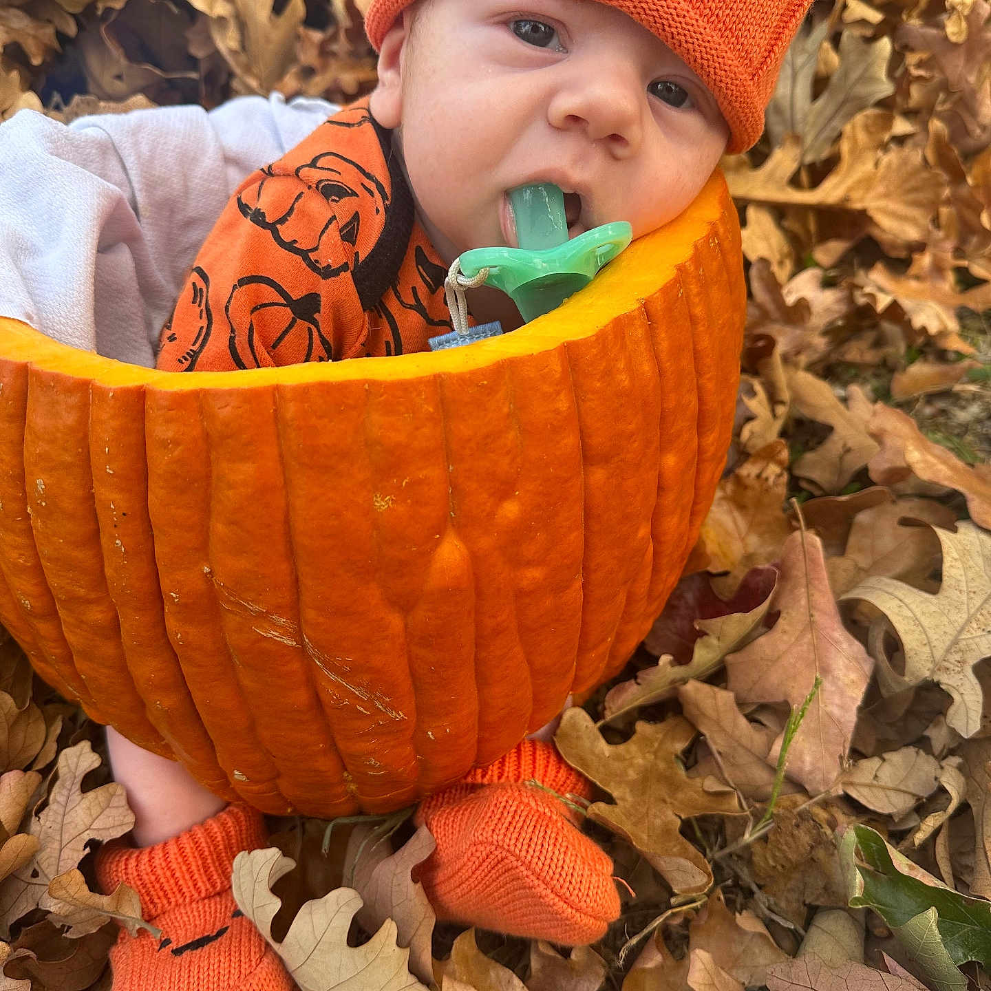 Ryan joined the competition — help win amazing prizes! baby, bonnet, cap, clothing, coat, face, food, glove, hat, head, jacket, leaf, person, photography, plant, portrait, produce, pumpkin, squash, vegetable