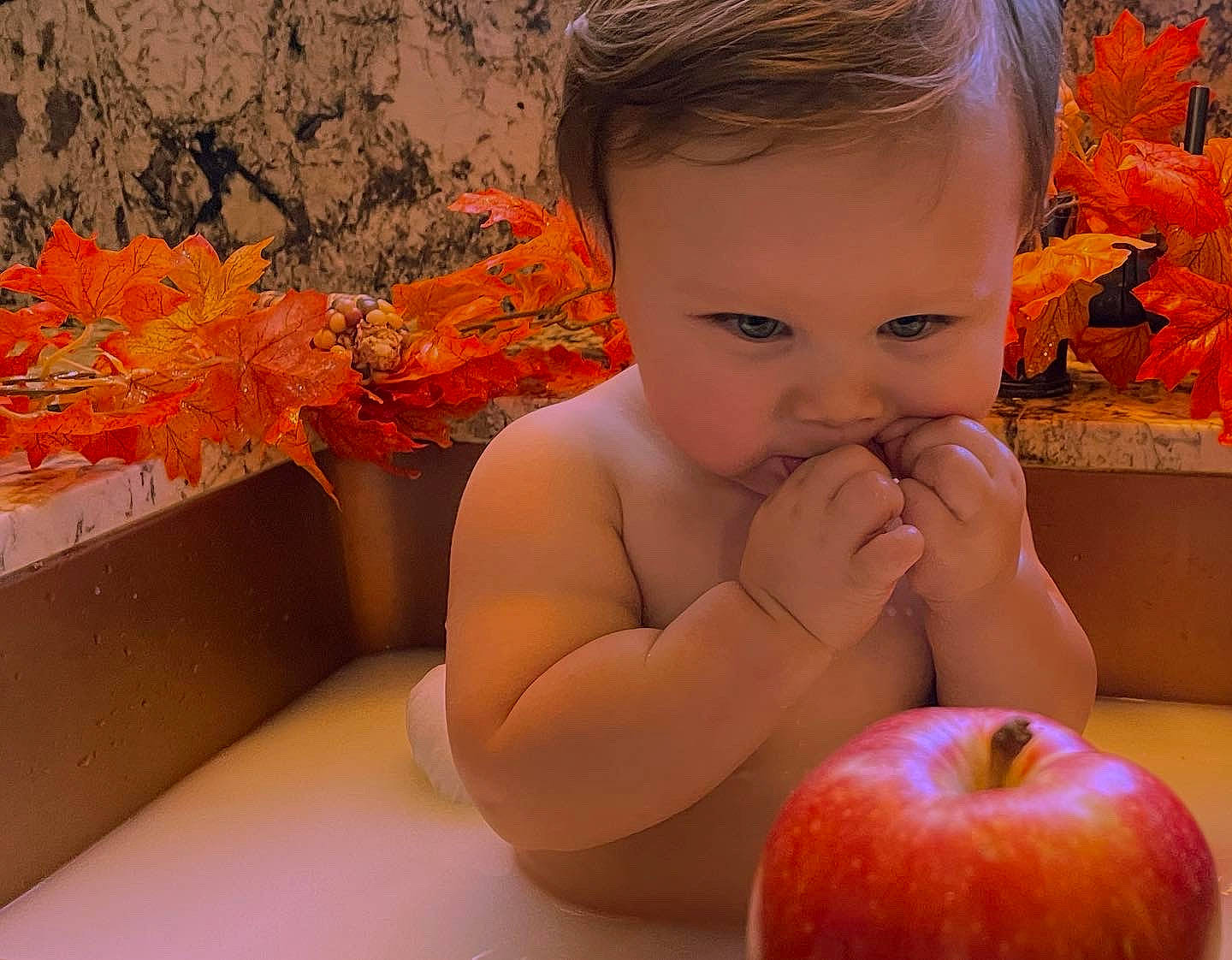 Kruz joined the competition — help win amazing prizes! apple, arm, beauty, chest, child, finger, fruit, happy, human_body, leaf, mouth, muscle, natural_foods, neck, orange, person, photograph, plant, red, skin