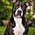Lucy