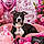 Lucy