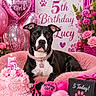 Lucy joined the competition — help win amazing prizes!