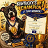 Lucy is registered to the contest to win money with this photo: award, bed, blue, brown, cartoon, celebration, certificate, champion, cute, dog, gold, happy, illustration, medal, paw, ribbon, speech_bubble, text, trophy, winning