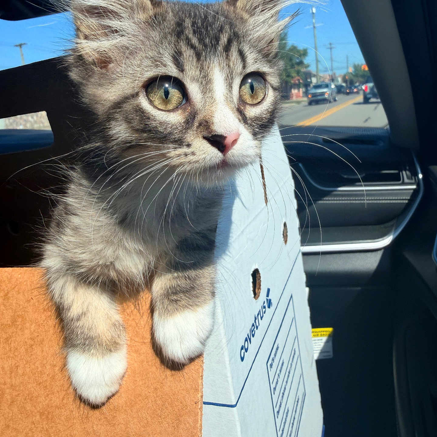 Milo