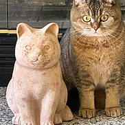 Scarlett joined the competition — help win amazing prizes! cat, stone_statue, sculpture, tabby, pet, feline, fireplace, hearth, carpet, whiskers, golden_eyes, paws, sitting, indoor, decor, closeup, portrait, twin, texture, home