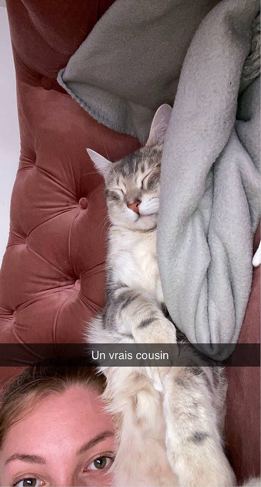 Mymy participe au concours pour gagner de l'argent avec cette photo : carnivore, cat, comfort, domestic_short_haired_cat, ear, fawn, felidae, finger, fur, gesture, human_leg, organ, paw, product, skin, sleeve, small_to_medium_sized_cats, tail, textile, whiskers