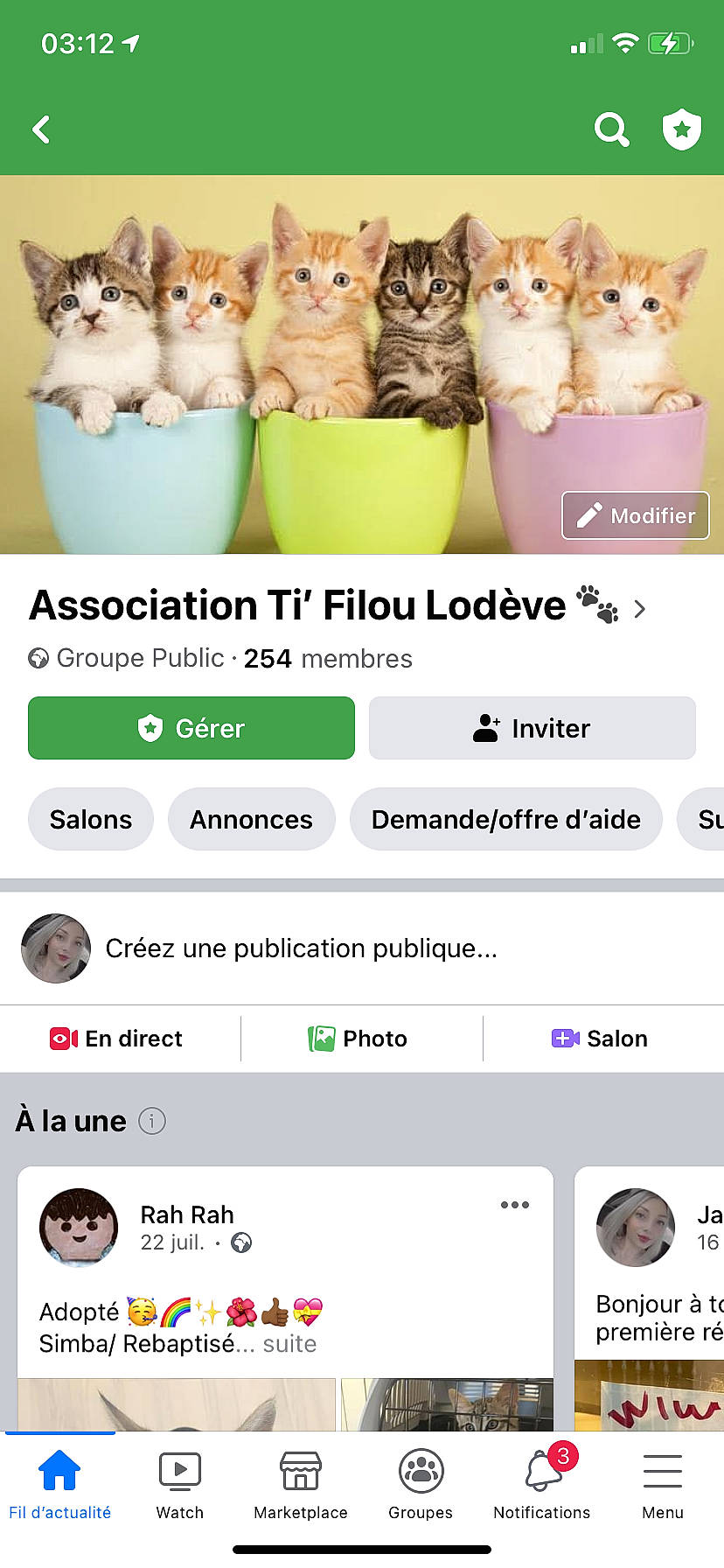 Yeti participe au concours pour gagner de l'argent avec cette photo : carnivore, cat, cat_supply, domestic_short_haired_cat, facial_expression, felidae, font, fur, green, happy, paw, pet_supply, photo_caption, photography, product, screenshot, sharing, small_to_medium_sized_cats, terrestrial_animal, whiskers